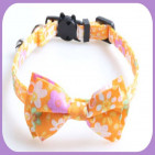 Collar-267